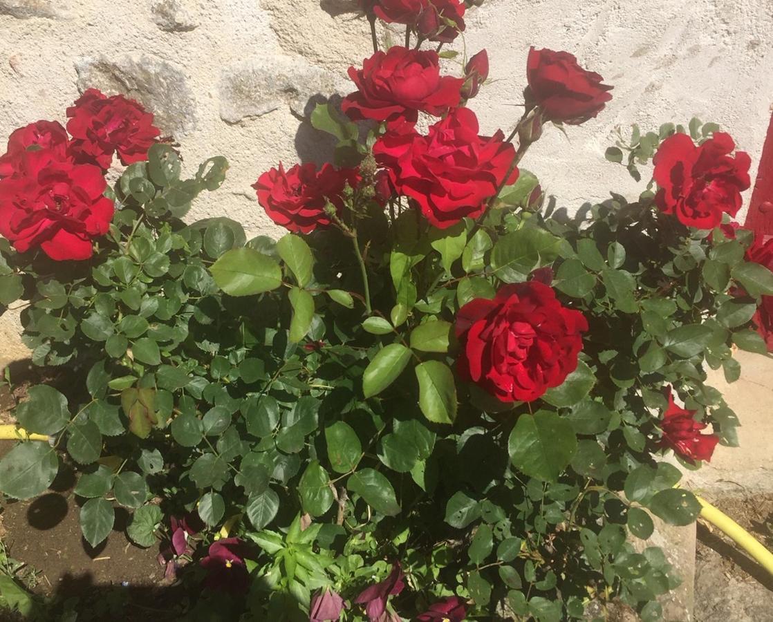 Bed and Breakfast Les Maitres Sonneurs Huriel Exterior foto