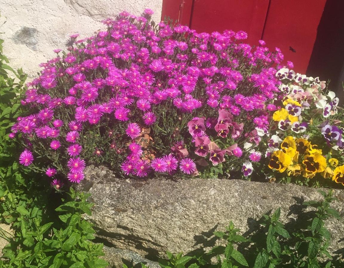 Bed and Breakfast Les Maitres Sonneurs Huriel Exterior foto